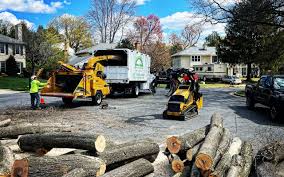 Best Arborist Consultation Services  in Eslon, CA